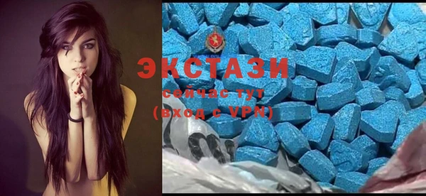 стаф Коряжма