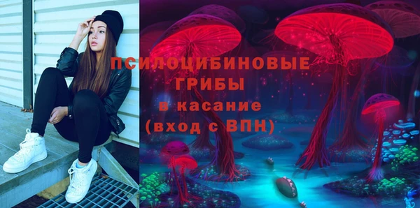 apvp Корсаков