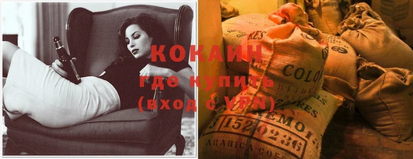 apvp Корсаков