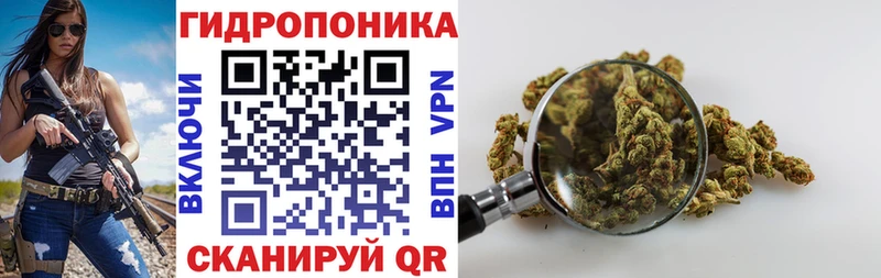 Бошки Шишки тримм  купить наркотики цена  Куровское 